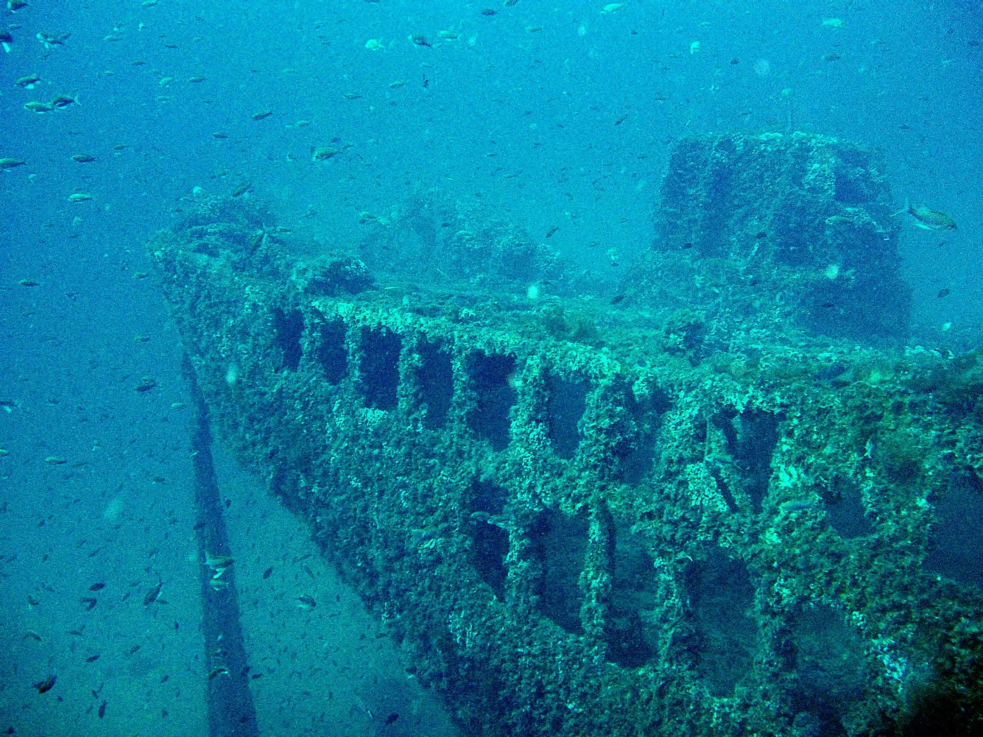 Ship Wreck Dives Cartagena