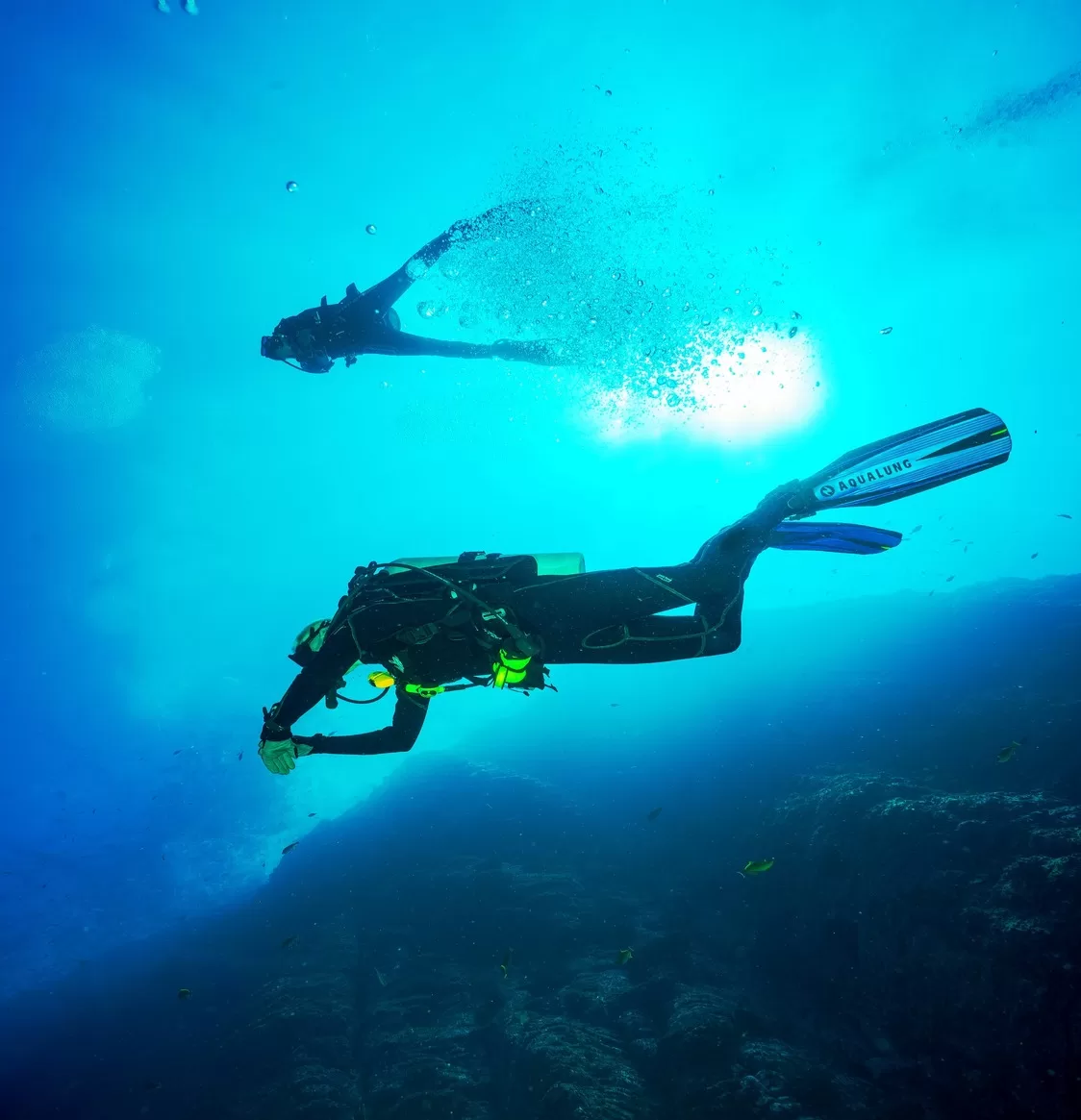Specialty Diving Courses